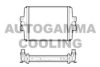 AUTOGAMMA 107406 Radiator, engine cooling